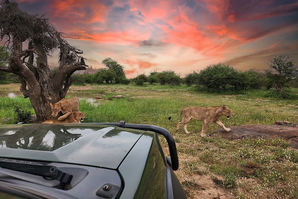 La Kruger Lifestyle Lodge