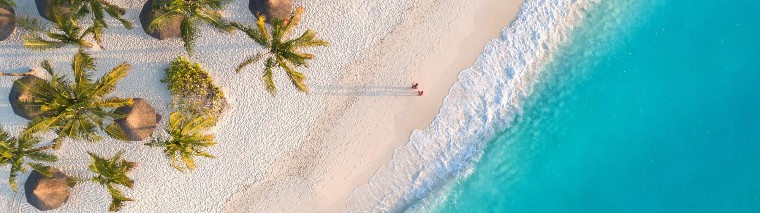 Aerial view of a palm-lined beach and turquoise water