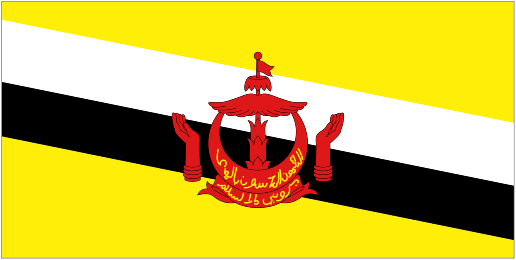 Flag of Brunei