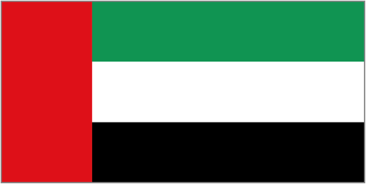 Flag of Dubai (UAE)
