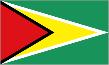Flag of Guyana