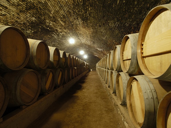 03 maipo chile