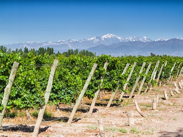06 mendoza argentina