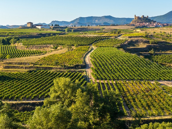 07 rioja spain