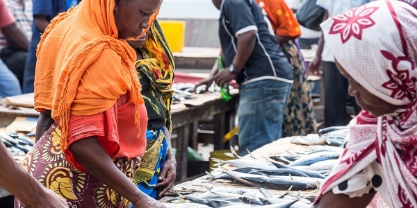 seafood market dar es salaam