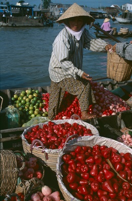 mekong delta floating market